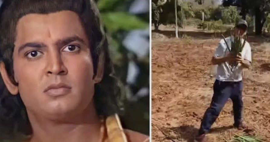 रामायण के लक्ष्मण कर रहे खेती, फार्महाउस में उगाए तरबूज ,काजू